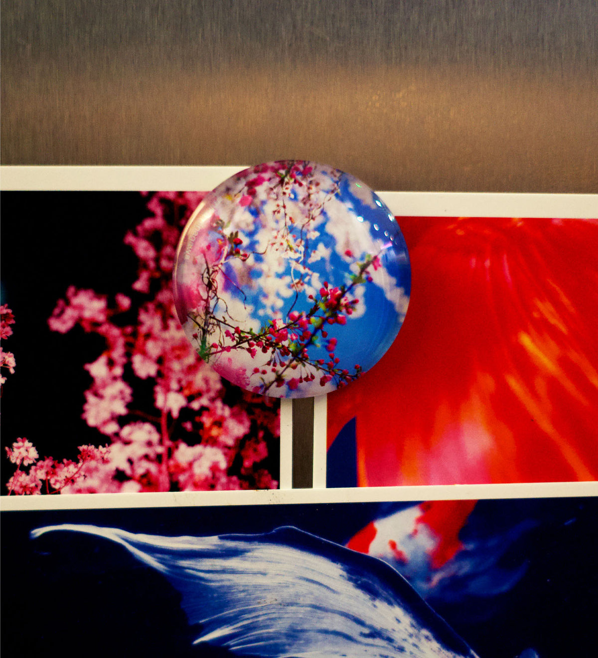 Mika Ninagawa Fridge Magnet (Blossom)