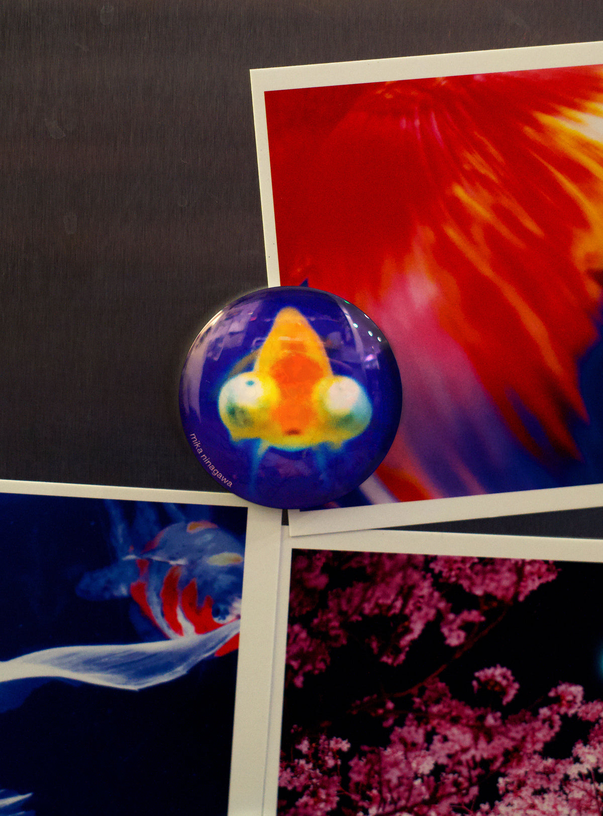 Mika Ninagawa Fridge Magnet (Fish)