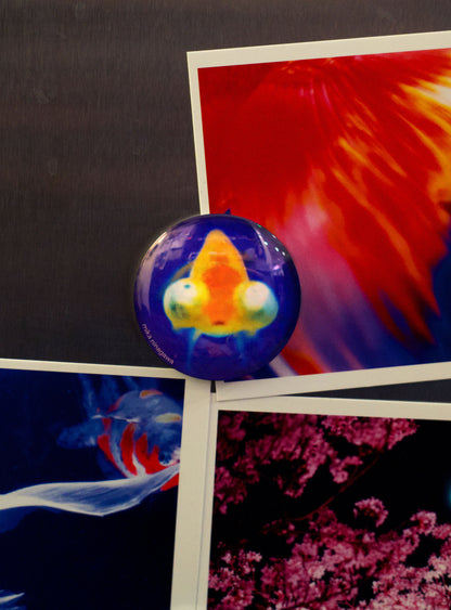 Mika Ninagawa Fridge Magnet (Fish)
