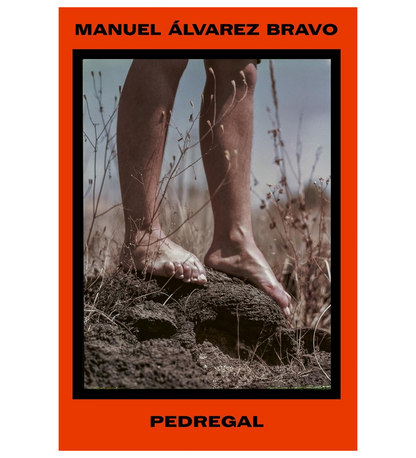 Manuel Álvarez Bravo: Pedregal
