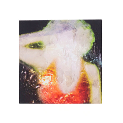 Rumando, Tokyo: Selfpolaroids (signed limited edition)