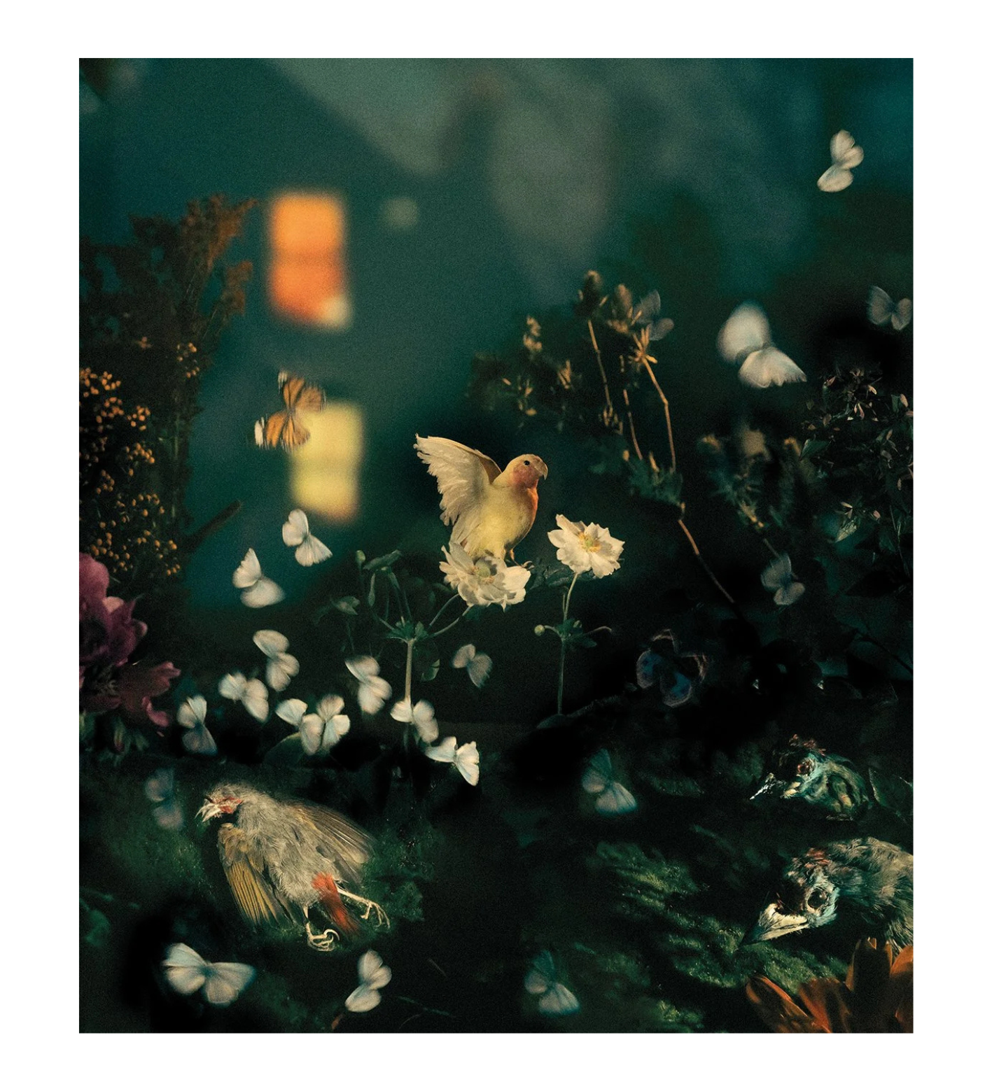 Diego Fabro: Reverie Park