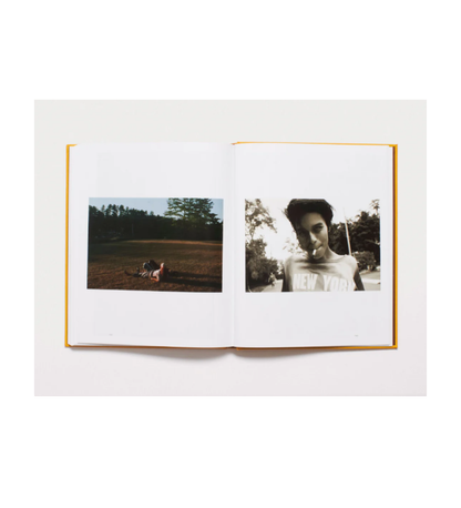 Emily Lipson: Dykes: Vol. 1