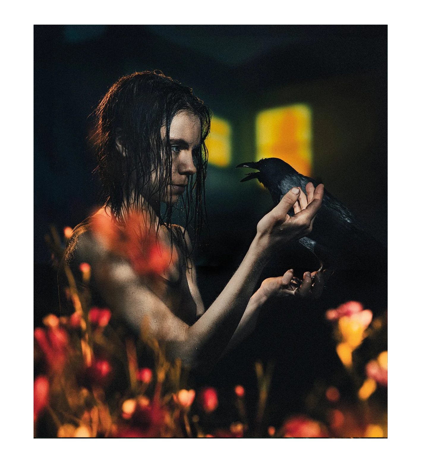 Diego Fabro: Reverie Park