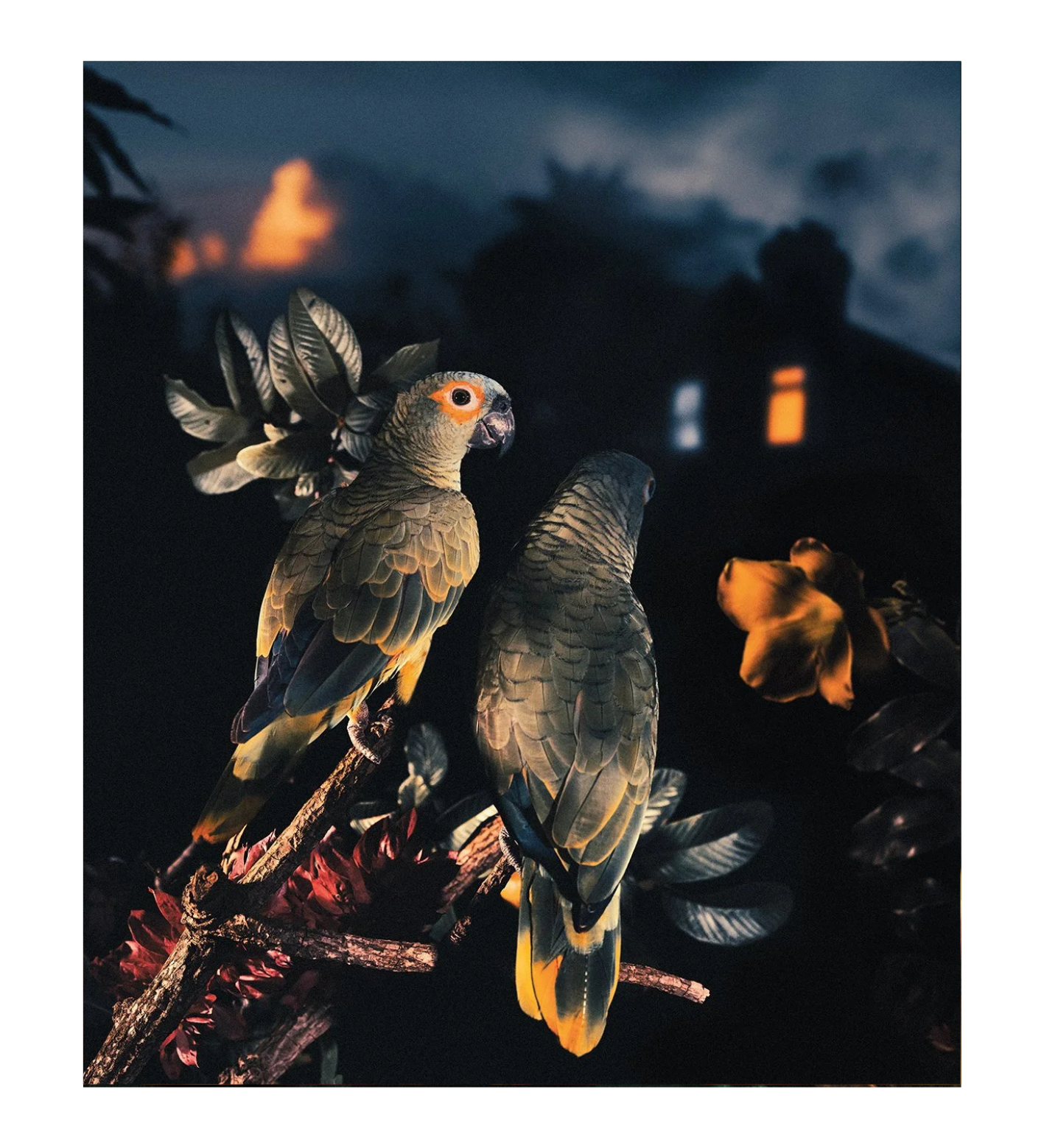 Diego Fabro: Reverie Park