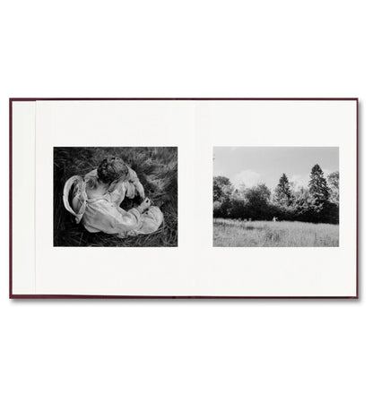 Yorgos Lanthimos: Viscin