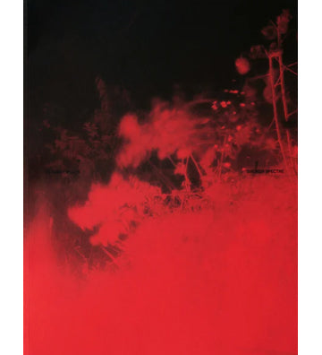Richard Mosse:  Broken Spectre