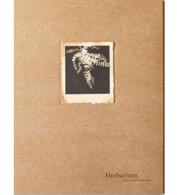 Alessandra Calò: Herbarium, i fiori sono rimasti rosa (signed and numbered copies)