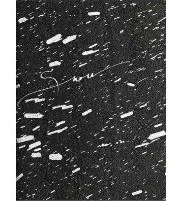 Vanessa Winship: Snow (signed)