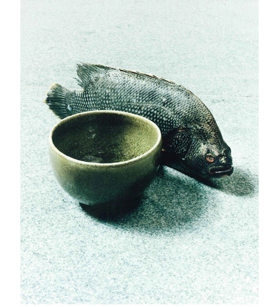 Naohiro Harada: Tokyo Fishgraphs