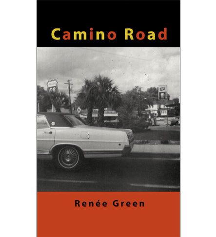 Renée Green: Camino Road