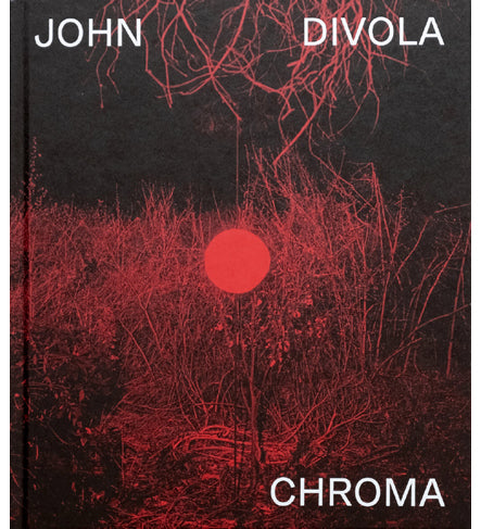 John Divola: Chroma