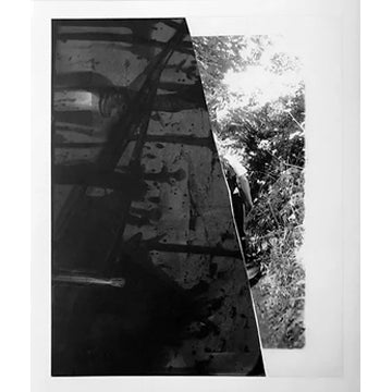 Kingsley Ifill & Jack Whitefield: Comma (Signed)