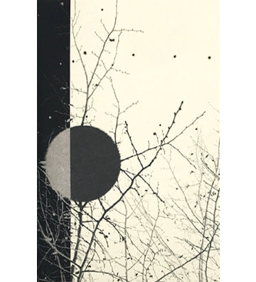 Paul Cupido: Mukayu (Out of Print)