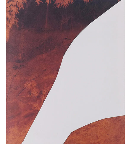 Dafna Talmor: Constructed Landscapes - Edition (Signed)