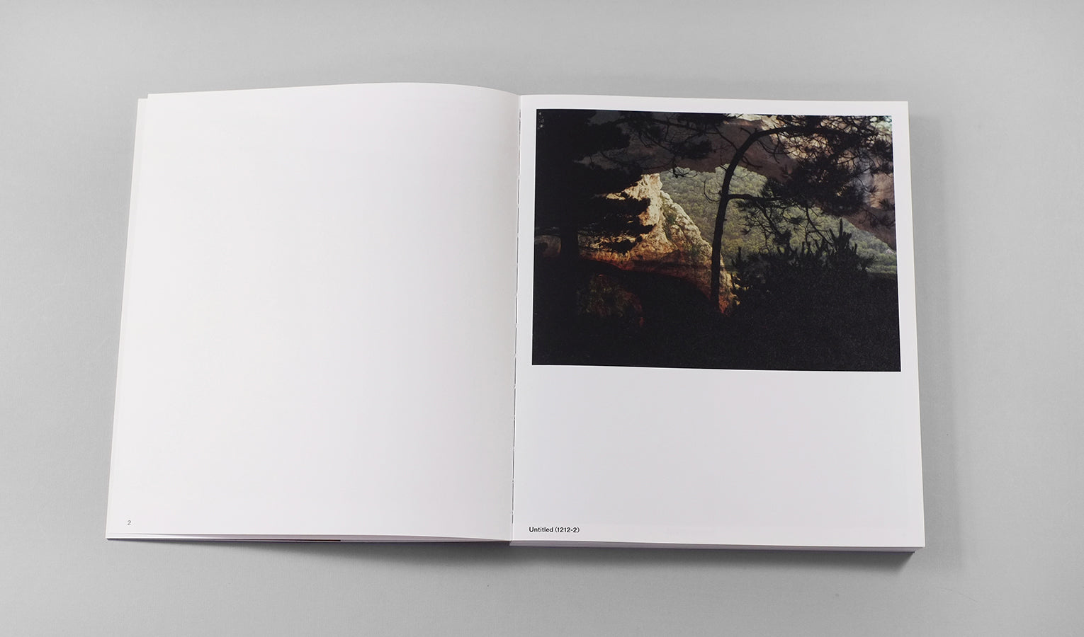 Dafna Talmor: Constructed Landscapes - Edition (Signed) – TPG Bookshop