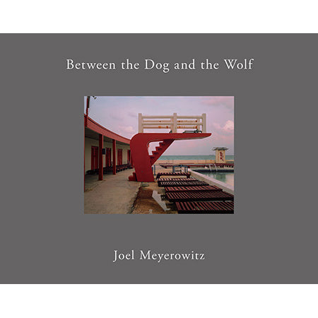 Joel Meyerowitz: Between the Dog and the Wolf