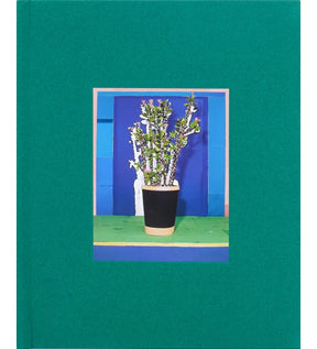 Daniel Gordon: Houseplants (Limited Edition)