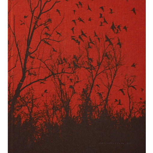 Vanessa Winship: she dances on Jackson (2nd Edition)