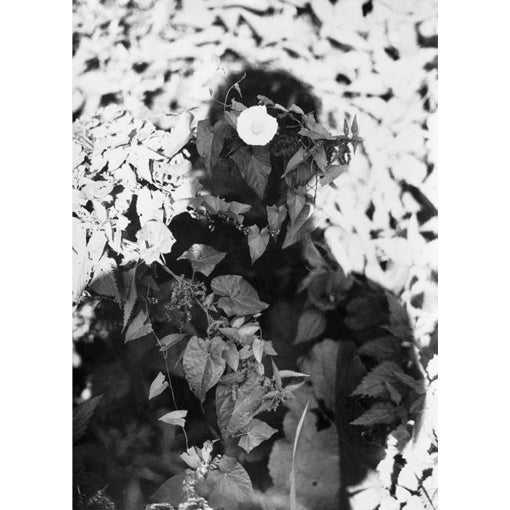 Jochen Lempert: Relación