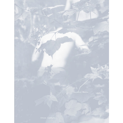 Raymond Meeks: Halfstory Halflife