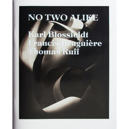 Karl Blossfeldt, Francis Bruguière, Thomas Ruff: No Two Alike