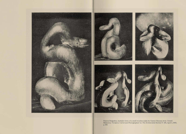 Karl Blossfeldt, Francis Bruguière, Thomas Ruff: No Two Alike