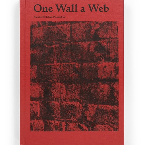 Stanley Wolukau-Wanambwa: One Wall a Web