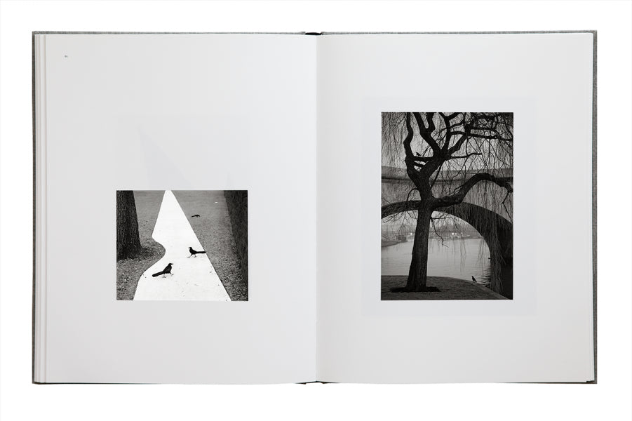 Pentti Sammallahti: Des Oiseaux