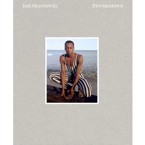 Joel Meyerowitz: Provincetown (Signed, Out of Print)