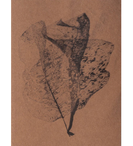 Robbie Lawrence: A Voice Above The Linn