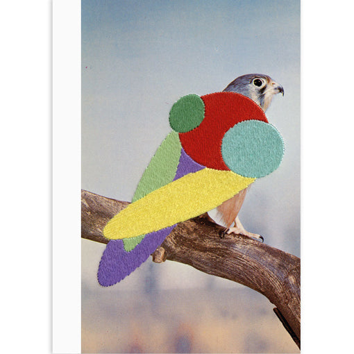 Julie Cockburn: Stickybeak