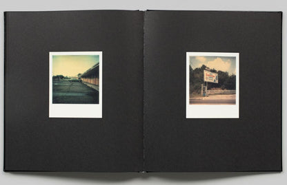 William Eggleston: Polaroid SX-70