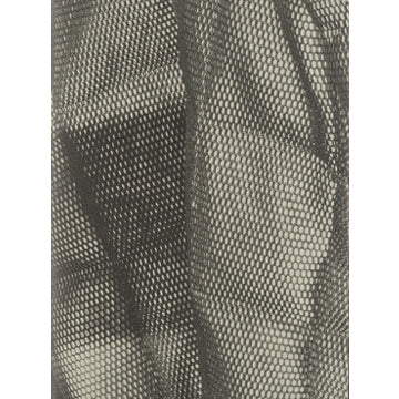 Mathilda Olmi: A bird in the hand