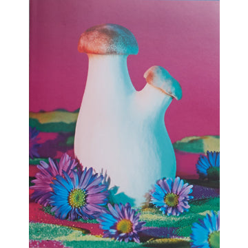 Phyllis Ma: Mushroom & Friends Zine 2