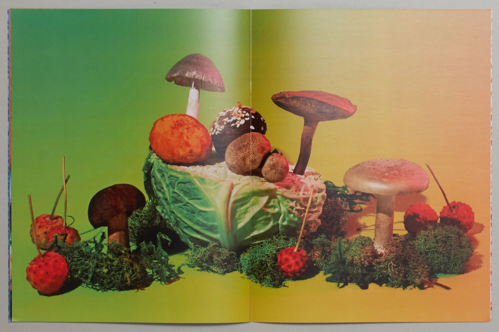 Phyllis Ma: Mushroom & Friends Zine 2
