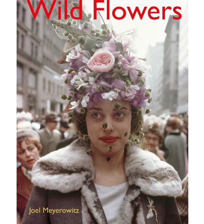 Joel Meyerowitz: Wild Flowers